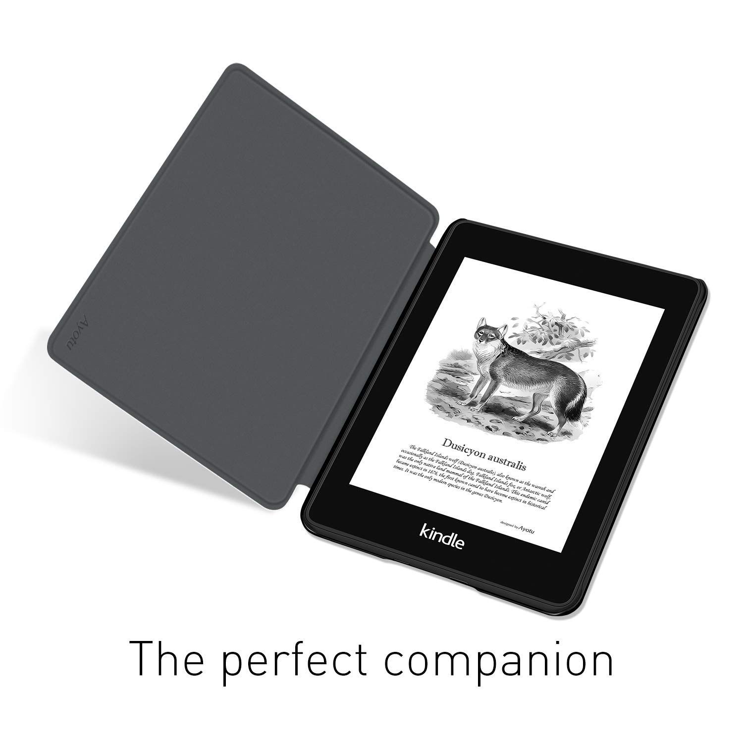 Kindle Paperwhite 5/6/7th スマート - Kindle Tablet Accessories のレビューと価格