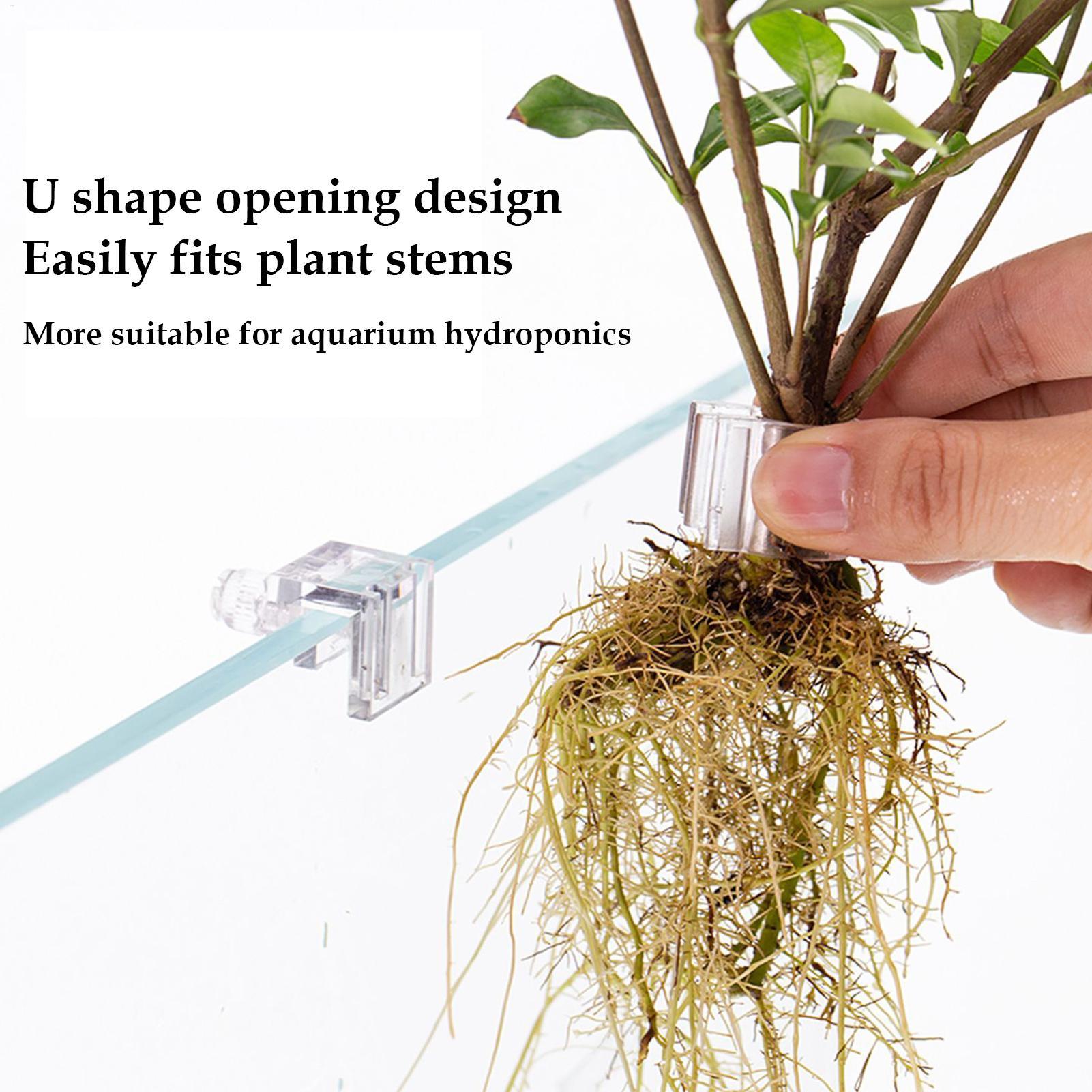水槽用植物ホルダー 6個入り 透明水耕栽培カップ 吊り下げ式 - Tablet Accessories For Girls のレビューと価格